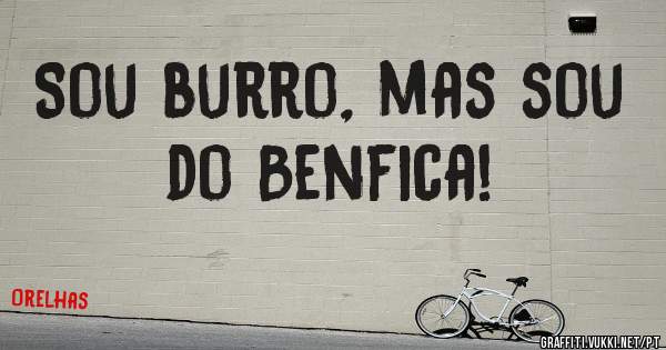 Sou burro, mas sou do Benfica!