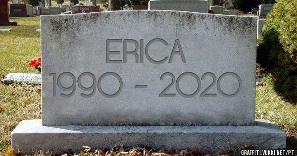 ERICA
1990 - 2020