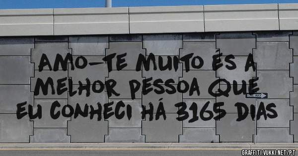 Amo-te muito és a melhor pessoa que eu conheci há 3165 dias