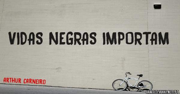 VIDAS NEGRAS IMPORTAM