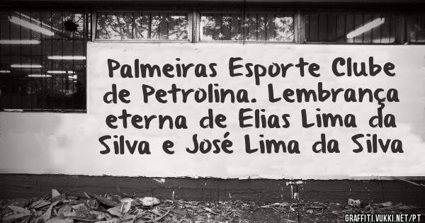 Palmeiras Esporte Clube de Petrolina. Lembrança eterna de Elias Lima da Silva e José Lima da Silva