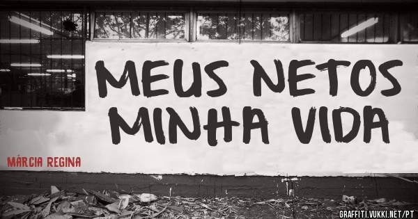 MEUS NETOS MINHA VIDA