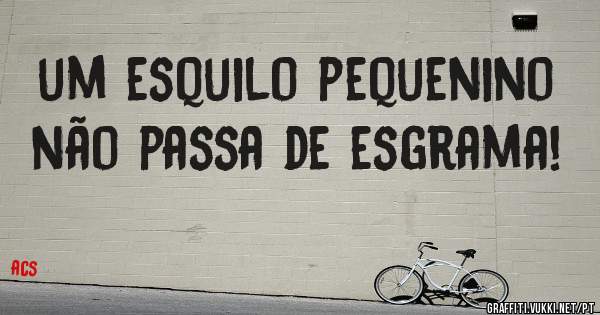 um esquilo pequenino não passa de esgrama!