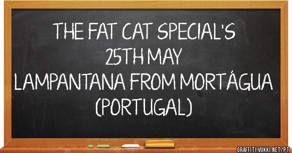 THE FAT CAT SPECIAL'S
25TH MAY
LAMPANTANA FROM MORTÁGUA (PORTUGAL) 