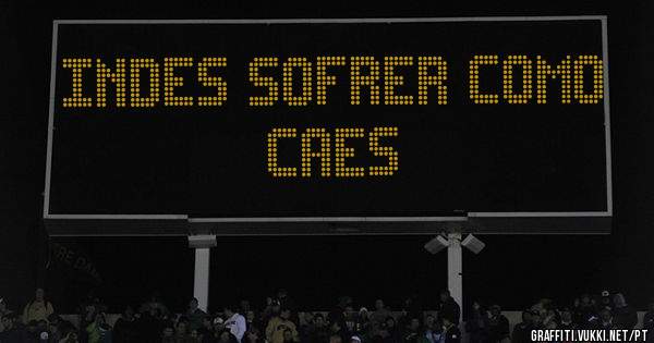 Indes sofrer como caes