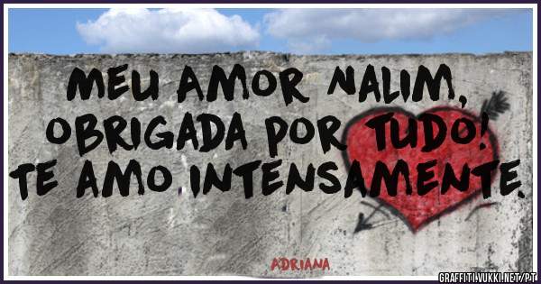 Meu Amor Nalim, obrigada por tudo! Te amo intensamente.