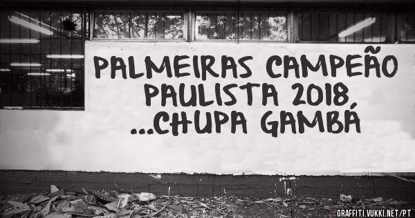 PALMEIRAS CAMPEÃO PAULISTA 2018 ...CHUPA GAMBÁ