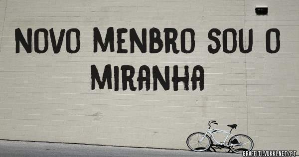 novo menbro sou o miranha