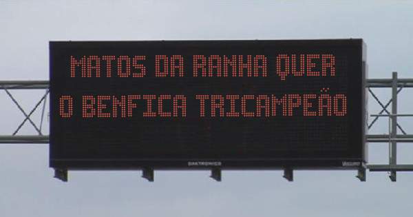 Matos da ranha quer o benfica tricampeão 