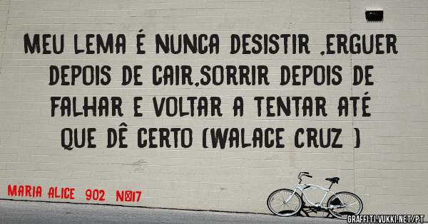 Meu lema é nunca desistir ,erguer depois de cair,sorrir depois de falhar e voltar a tentar até que dê certo (Walace Cruz ) 