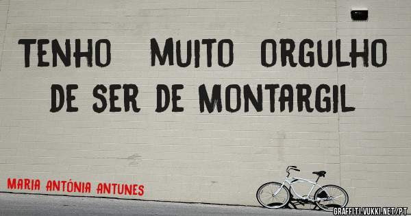 Tenho   muito  orgulho  de ser de Montargil 