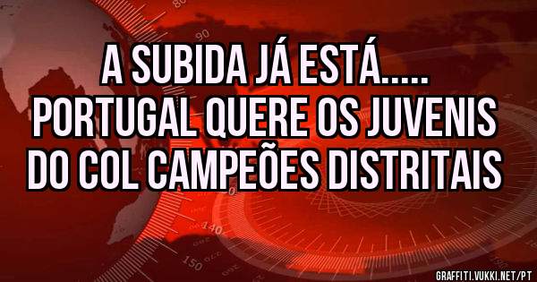 A subida já está.....
Portugal quere os Juvenis do COL Campeões Distritais