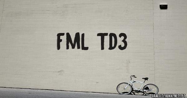 FmL Td3