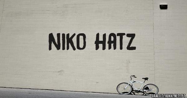 Niko Hatz
