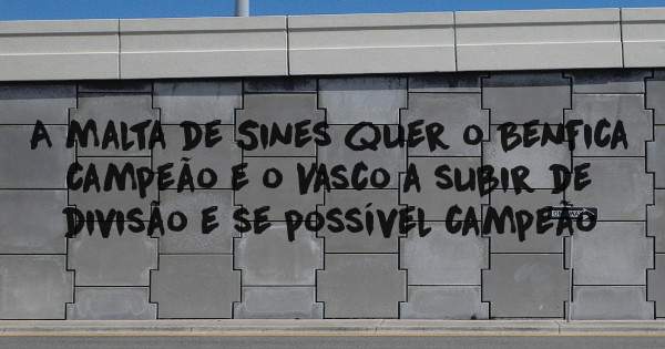 A malta de Sines quer o Benfica campeão e o Vasco a subir de divisão e se possível campeão