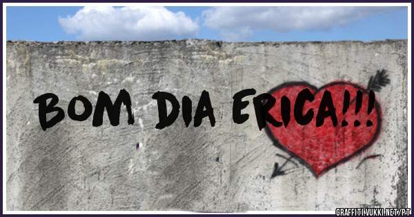 Bom dia Erica!!!