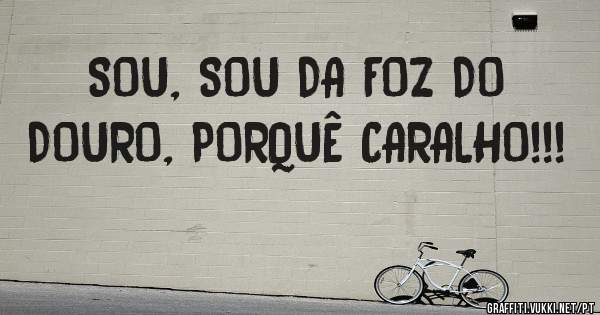 SOU, SOU DA FOZ DO DOURO, PORQUÊ CARALHO!!!
