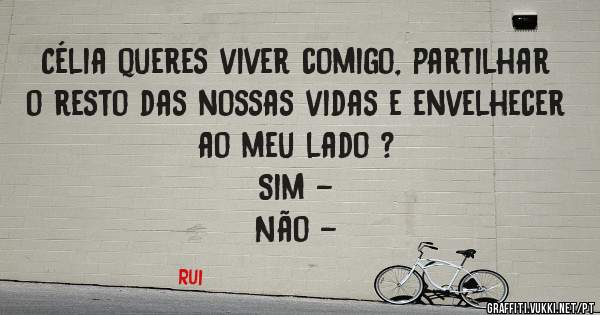 Célia queres viver comigo, partilhar o resto das nossas vidas e envelhecer ao meu lado ?
             Sim -
             Não -
