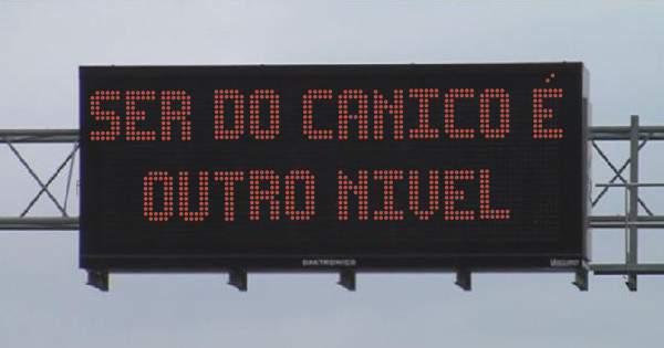 SER DO CANICO É OUTRO NIVEL
