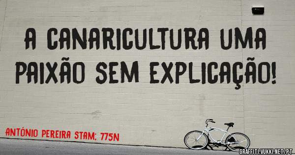 a canaricultura uma paixão sem explicação! 
