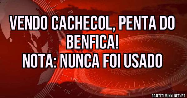 Vendo cachecol, Penta do Benfica!
Nota: Nunca foi usado