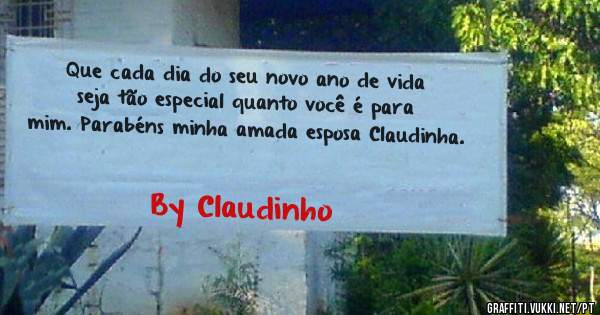 Que cada dia do seu novo ano de vida seja tão especial quanto você é para mim. Parabéns minha amada esposa Claudinha.