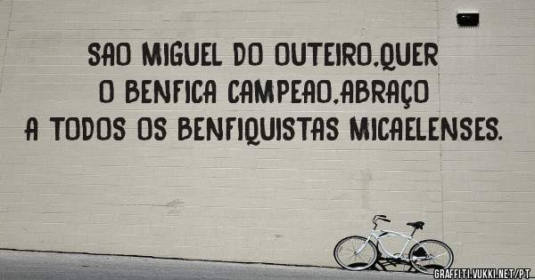 SAO MIGUEL DO OUTEIRO,QUER O BENFICA CAMPEAO,ABRAÇO A TODOS OS BENFIQUISTAS MICAELENSES.