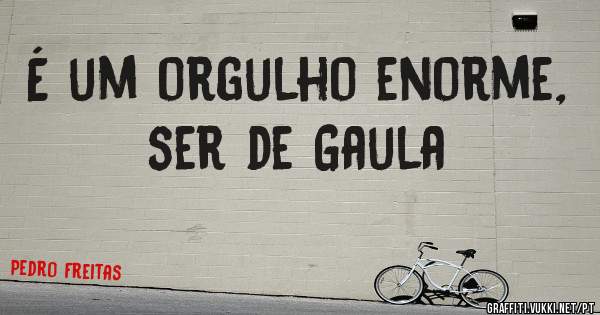 É um orgulho enorme, ser de Gaula
