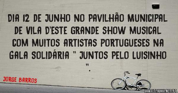 Dia 12 de Junho no Pavilhão Municipal de Vila D'este grande show musical com muitos artistas portugueses na Gala Solidária '' Juntos Pelo Luisinho ''. 