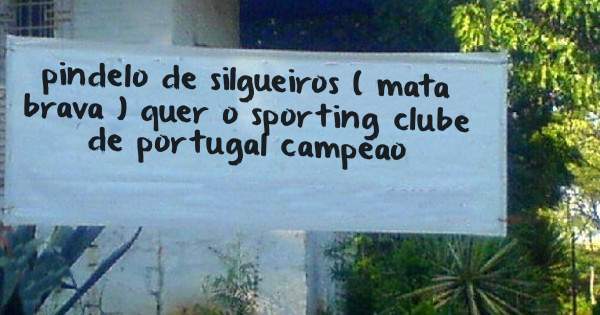 pindelo de silgueiros ( mata brava ) quer o sporting clube de portugal campeao