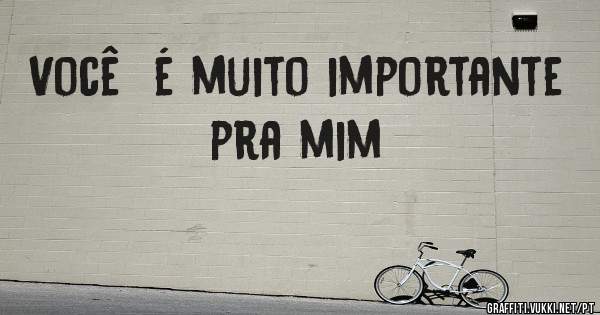 Você  é muito importante pra mim 