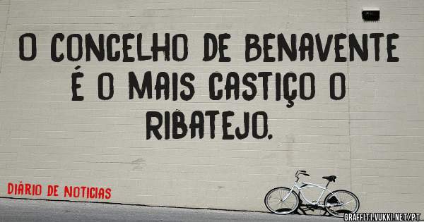 O Concelho de Benavente é o mais castiço o Ribatejo.