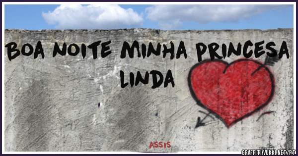 Boa noite minha princesa linda 