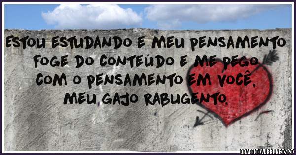 Estou estudando e meu pensamento foge do conteúdo e me pego com o pensamento em você, meu gajo rabugento. 